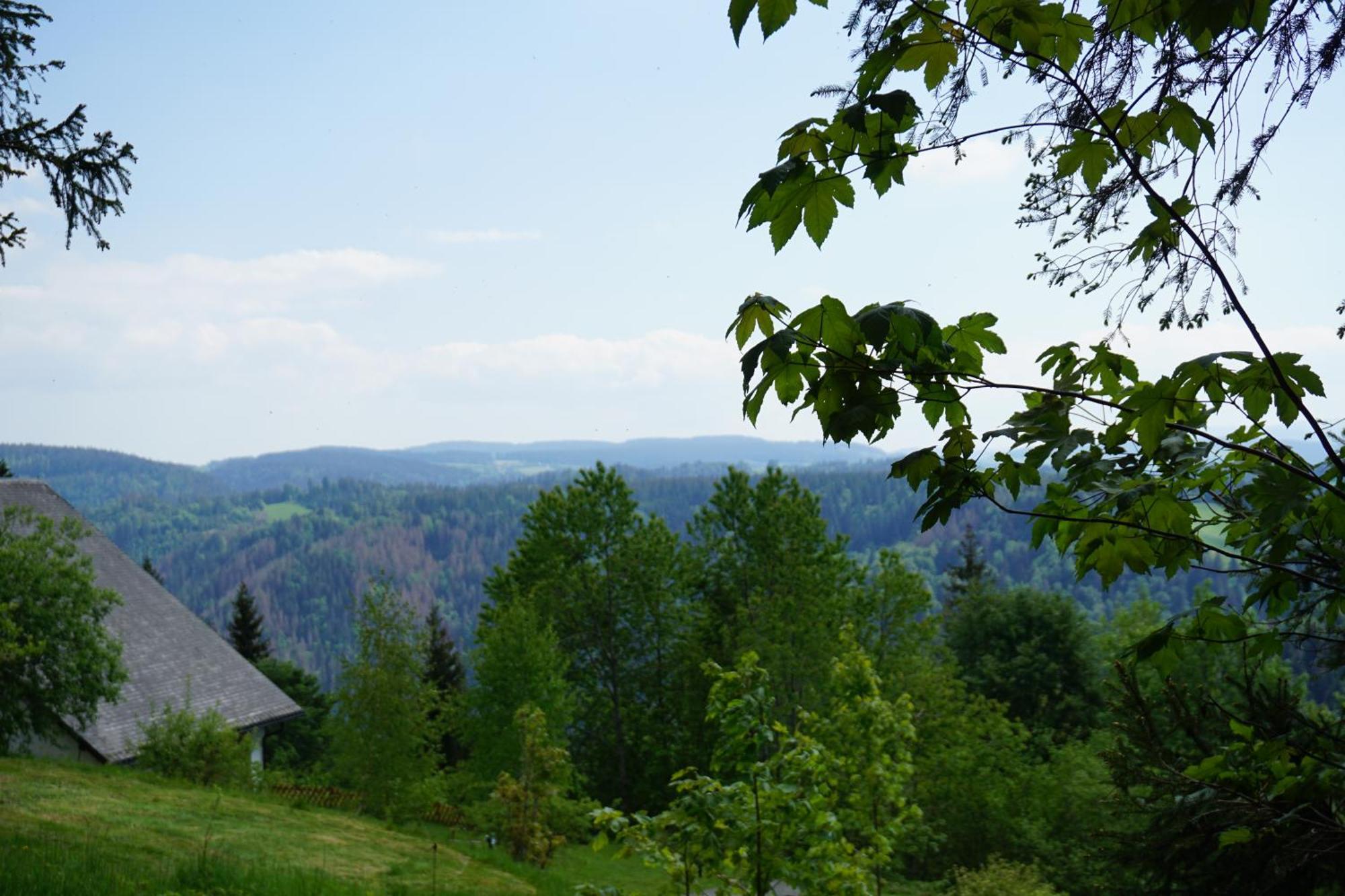 Kurparkhotel Faisst Bad Peterstal-Griesbach Εξωτερικό φωτογραφία