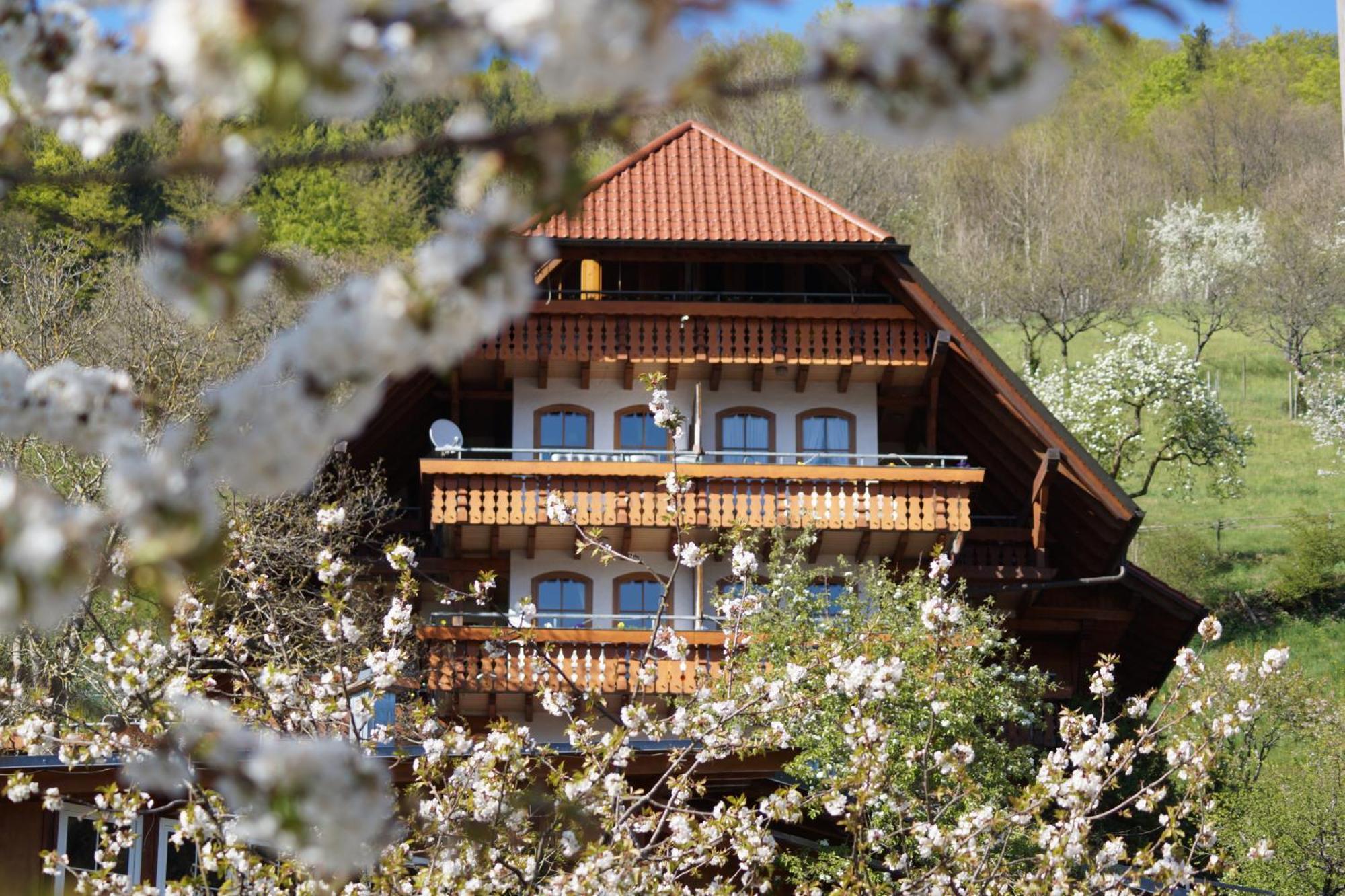 Kurparkhotel Faisst Bad Peterstal-Griesbach Εξωτερικό φωτογραφία