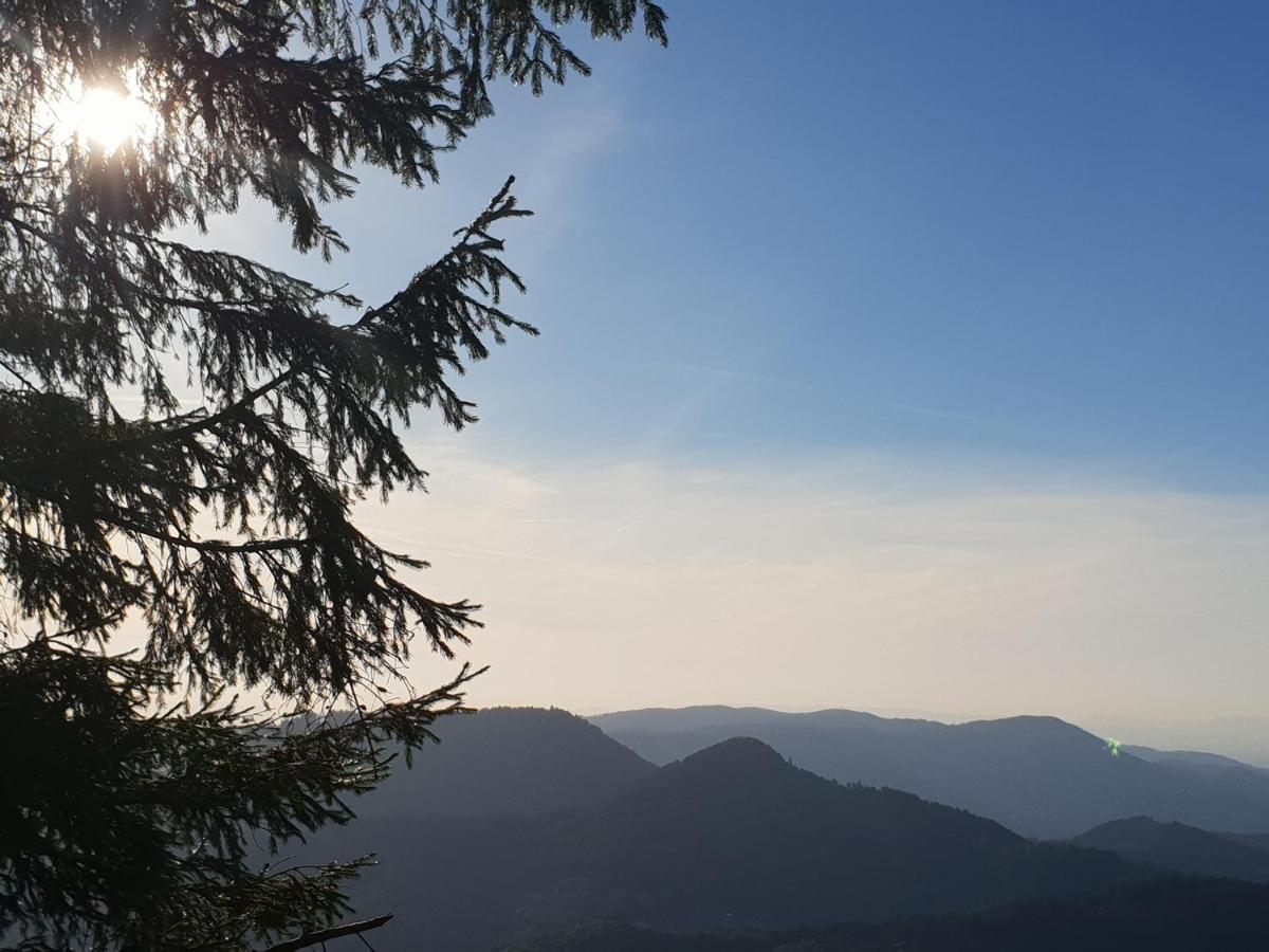 Kurparkhotel Faisst Bad Peterstal-Griesbach Εξωτερικό φωτογραφία